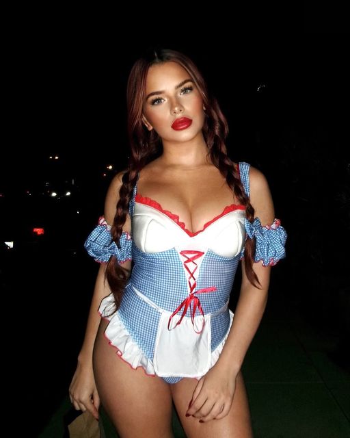 Women's gingham dress costume
